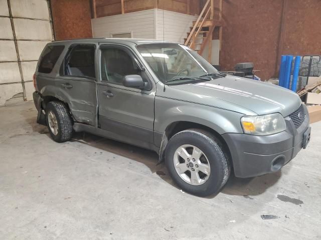 2006 Ford Escape XLT