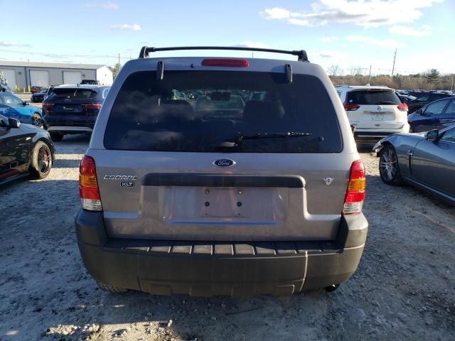 2007 Ford Escape XLT