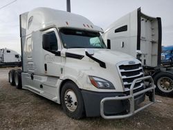 Freightliner Cascadia 126 salvage cars for sale: 2019 Freightliner Cascadia 126