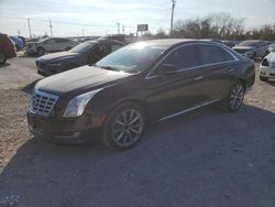 Cadillac salvage cars for sale: 2013 Cadillac XTS