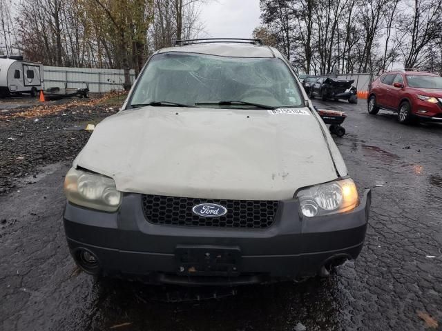 2005 Ford Escape XLT