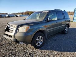 Honda Pilot Vehiculos salvage en venta: 2006 Honda Pilot EX