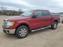 Ford salvage cars for sale: 2014 Ford F150 Supercrew