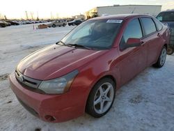 Ford Focus salvage cars for sale: 2011 Ford Focus SES