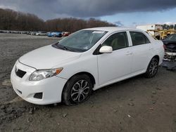 Toyota Corolla salvage cars for sale: 2009 Toyota Corolla Base