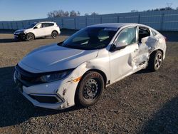 Honda Vehiculos salvage en venta: 2019 Honda Civic LX