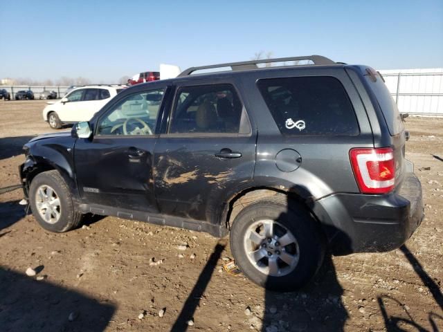 2008 Ford Escape Limited