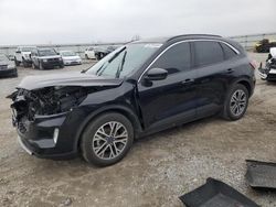 Ford Escape sel salvage cars for sale: 2020 Ford Escape SEL