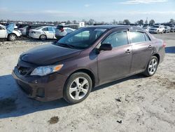 Toyota Corolla salvage cars for sale: 2013 Toyota Corolla Base