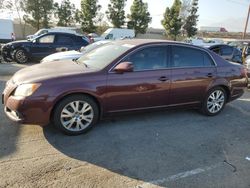 Toyota Avalon salvage cars for sale: 2008 Toyota Avalon XL