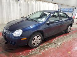 Dodge salvage cars for sale: 2005 Dodge Neon Base