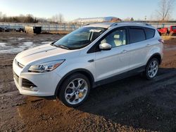 Ford Vehiculos salvage en venta: 2016 Ford Escape Titanium