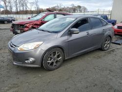 Ford Focus salvage cars for sale: 2014 Ford Focus SE