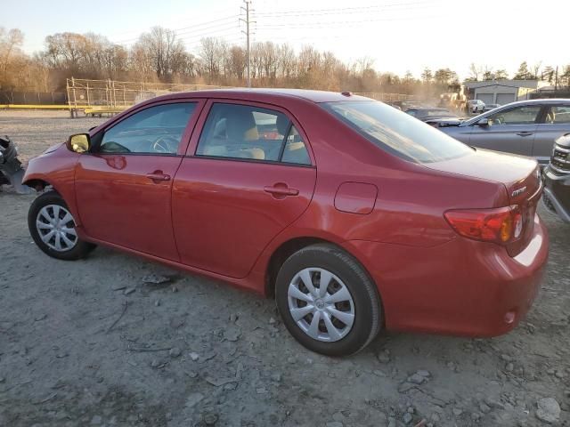 2010 Toyota Corolla Base