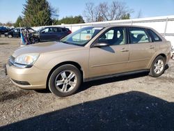 Chevrolet Malibu salvage cars for sale: 2004 Chevrolet Malibu Maxx LS