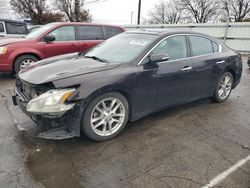 Nissan Maxima salvage cars for sale: 2010 Nissan Maxima S