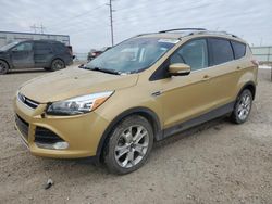 Ford Vehiculos salvage en venta: 2014 Ford Escape Titanium