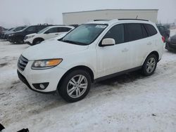 Hyundai Santa fe salvage cars for sale: 2012 Hyundai Santa FE SE