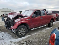 Ford f150 Super cab Vehiculos salvage en venta: 2013 Ford F150 Super Cab