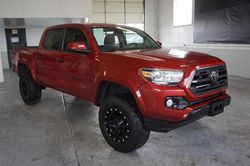 Toyota salvage cars for sale: 2019 Toyota Tacoma Double Cab