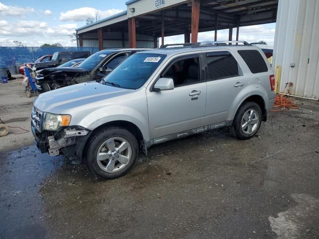 2009 Ford Escape Limited