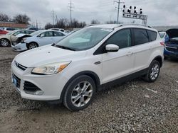 Ford Escape salvage cars for sale: 2014 Ford Escape Titanium