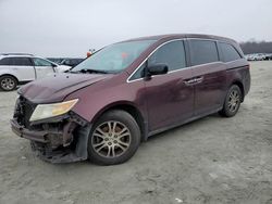 Honda salvage cars for sale: 2011 Honda Odyssey EXL