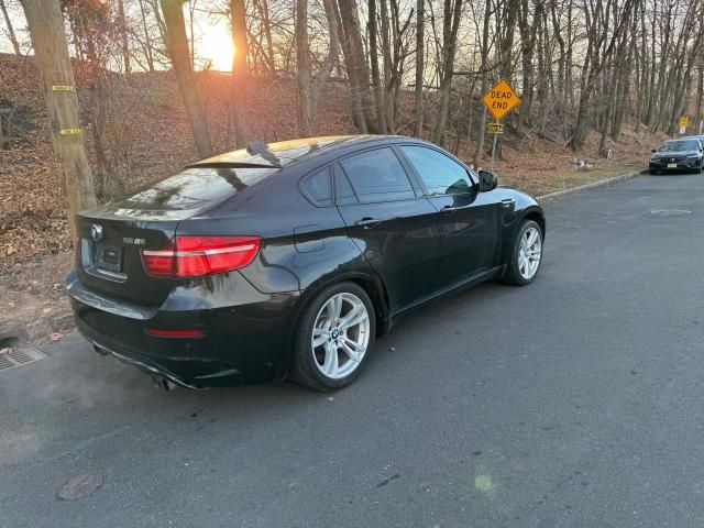 2013 BMW X6 M