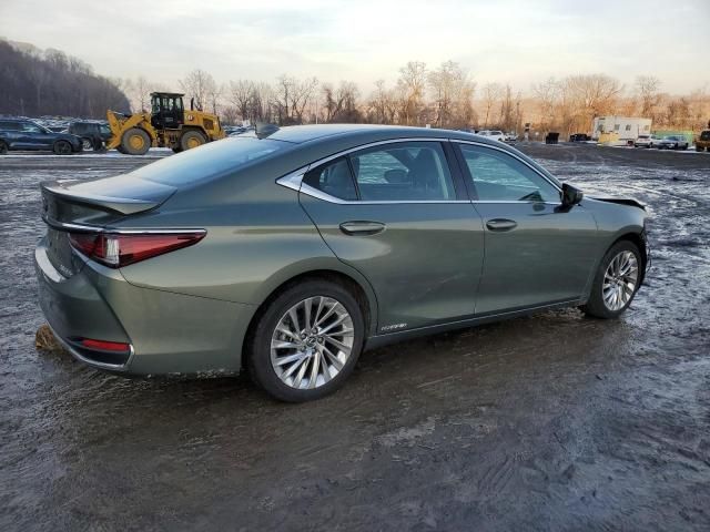 2020 Lexus ES 300H Luxury