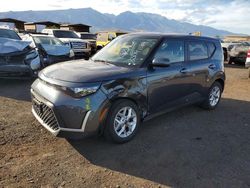 KIA salvage cars for sale: 2025 KIA Soul LX