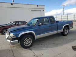 Dodge Dakota salvage cars for sale: 2004 Dodge Dakota SLT