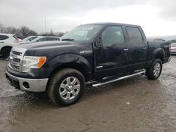 Ford f-150 salvage cars for sale: 2013 Ford F150 Supercrew