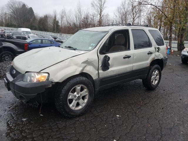 2005 Ford Escape XLT