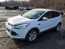 Ford salvage cars for sale: 2014 Ford Escape SE