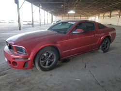 Ford Mustang salvage cars for sale: 2008 Ford Mustang GT