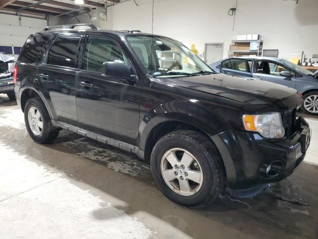 2011 Ford Escape XLT