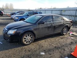 Toyota Avalon salvage cars for sale: 2006 Toyota Avalon XL