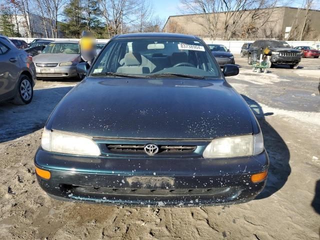 1996 Toyota Corolla DX