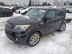 KIA Soul Vehiculos salvage en venta: 2019 KIA Soul +