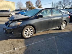 Toyota Vehiculos salvage en venta: 2009 Toyota Corolla Base