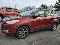 Ford Escape salvage cars for sale: 2015 Ford Escape SE