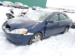 Toyota Corolla salvage cars for sale: 2008 Toyota Corolla CE