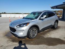 Ford Escape sel salvage cars for sale: 2020 Ford Escape SEL