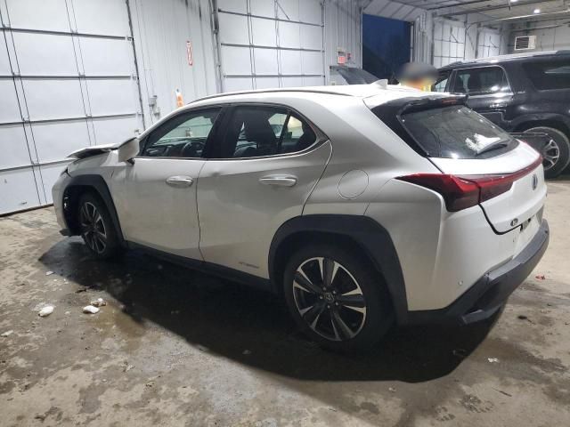 2019 Lexus UX 250H