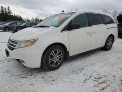 Honda salvage cars for sale: 2012 Honda Odyssey EXL