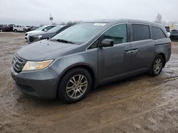 Honda Odyssey exl salvage cars for sale: 2011 Honda Odyssey EXL