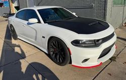 Dodge Charger salvage cars for sale: 2016 Dodge Charger R/T Scat Pack