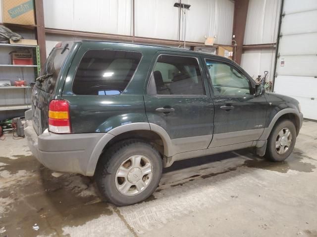 2001 Ford Escape XLT