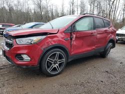 Ford Escape sel salvage cars for sale: 2019 Ford Escape SEL