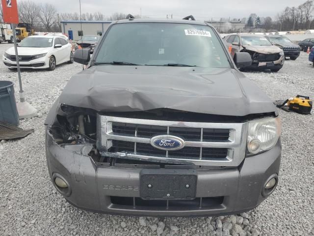 2012 Ford Escape XLT